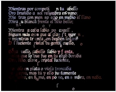 María  Mencía, Transient  Self-Portrait, 2012. Poema conceptual