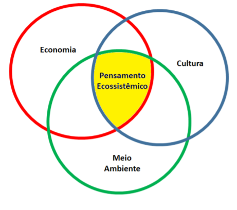 Estrutura de uma relação ecossistêmica.